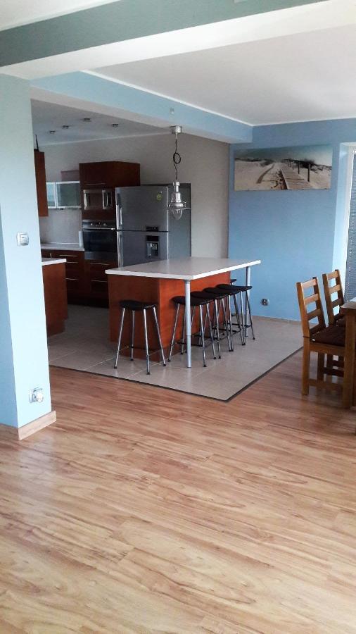 רווה Villa U Przyjaciol מראה חיצוני תמונה